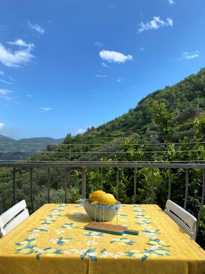 Le Case Della Lizza - Casa Gialla Levanto Exteriör bild